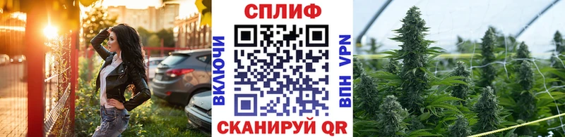 МЕГА ссылка что такое darknet телеграм Бошки марихуана индика Новоуральск